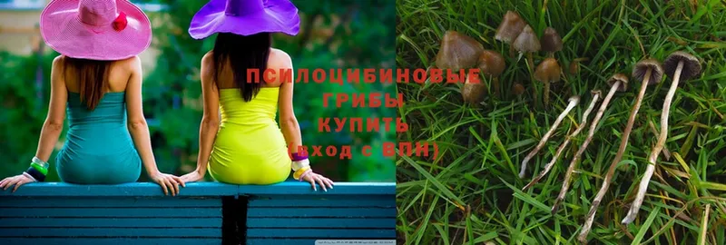 Галлюциногенные грибы MAGIC MUSHROOMS  даркнет сайт  кракен как войти  Курильск 